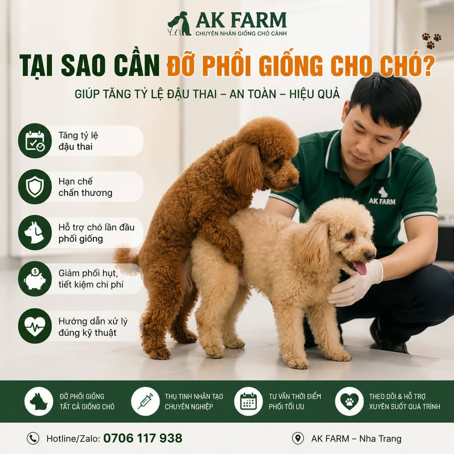 Tại sao cần đỡ phối giống cho chó – AK Farm